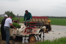 Esmorzar i plantada d’arròs de l’Estany de Pals