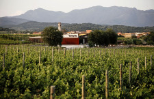 La Vinyeta, un celler innovador amb valors sostenibles